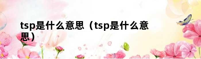 tsp是什么意思（tsp是什么意思）