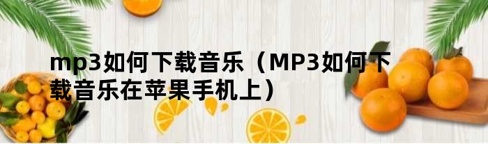 mp3如何下载音乐（MP3如何下载音乐在苹果手机上）